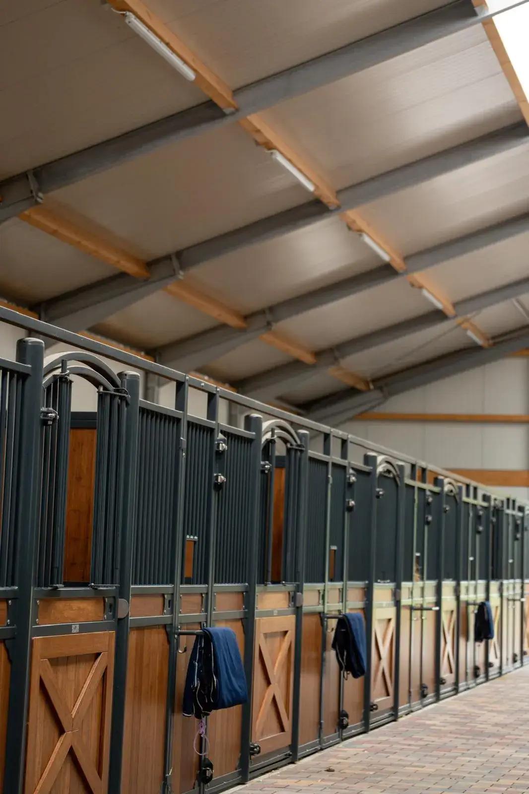 Springreiten auf der Anlage von Lürwer Pferde